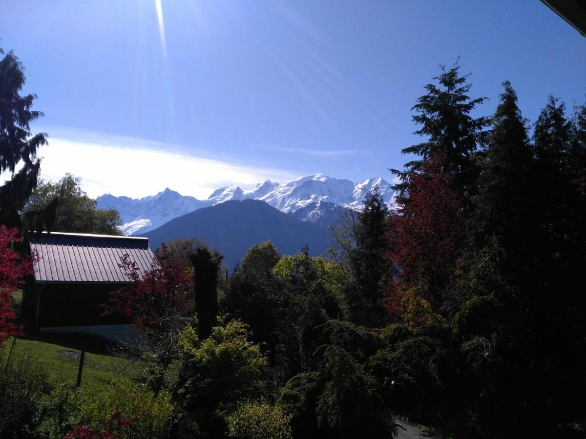 Mont Etape , F2, 42 M2, Calme, Vue Mt Blanc Apartment Passy  Room photo